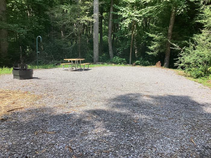 A photo of Site 008 of Loop River at BLACK MOUNTAIN CAMPGROUND with Picnic Table, Shade, Tent Pad, Lantern Pole