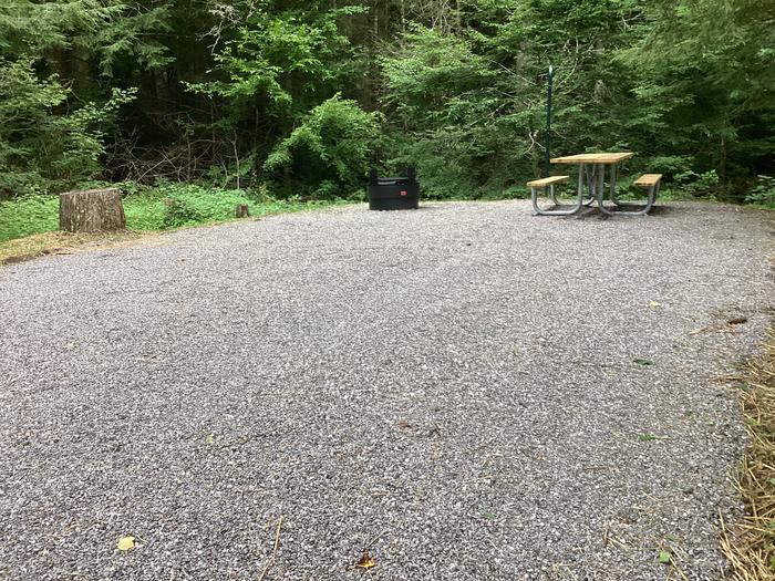 A photo of Site 009 of Loop River at BLACK MOUNTAIN CAMPGROUND with Picnic Table, Fire Pit, Shade, Lantern Pole