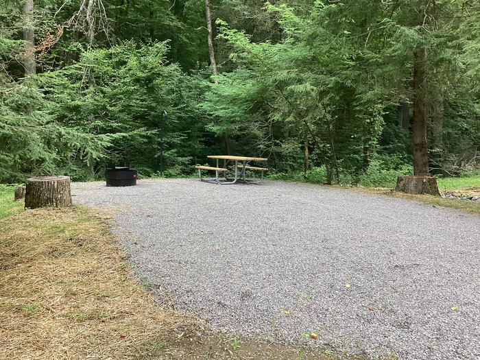 A photo of Site 009 of Loop River at BLACK MOUNTAIN CAMPGROUND with Picnic Table, Fire Pit, Shade, Lantern Pole