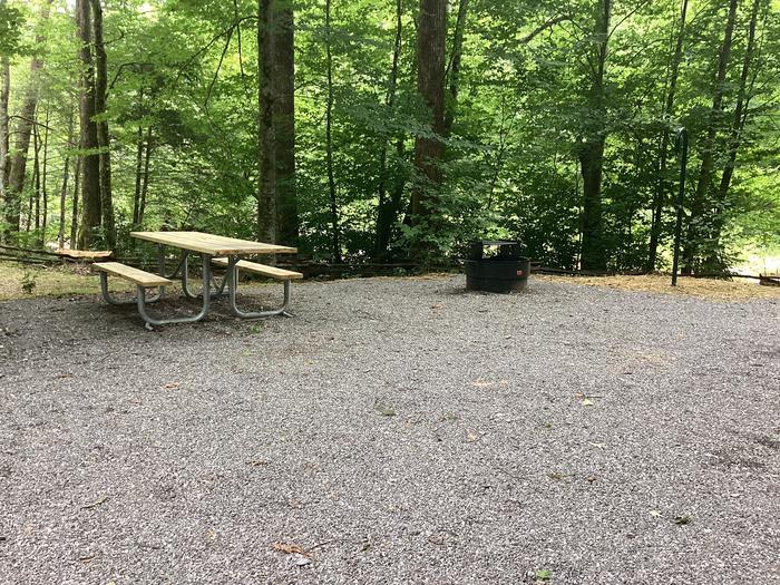 A photo of Site 001 of Loop River at BLACK MOUNTAIN CAMPGROUND with Picnic Table, Fire Pit, Shade, Waterfront, Lantern Pole