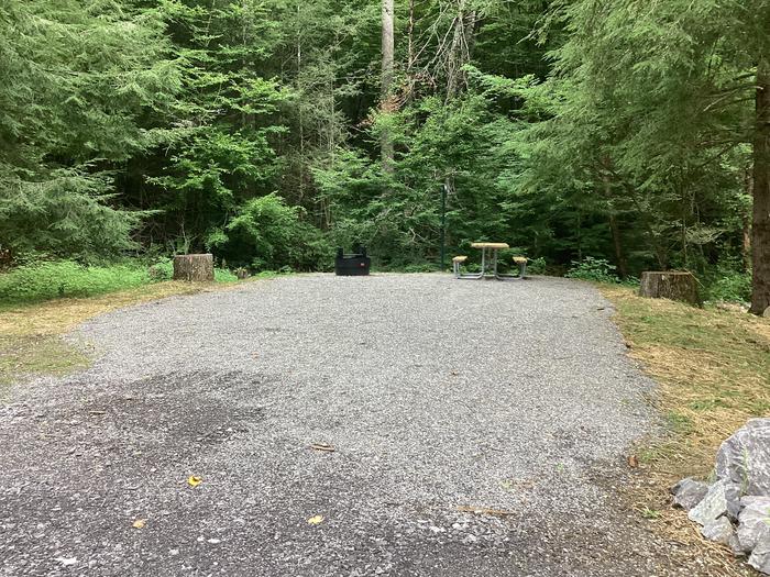 A photo of Site 009 of Loop River at BLACK MOUNTAIN CAMPGROUND with Picnic Table, Fire Pit, Shade, Lantern Pole