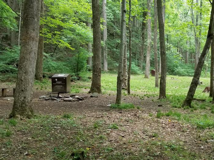 Rock Castle Gorge Backcountry Campsite 7