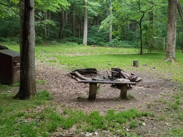 Rock Castle Gorge Backcountry Campsite 8