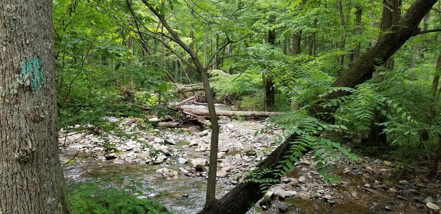 Rock Castle Creek Near Backcountry 