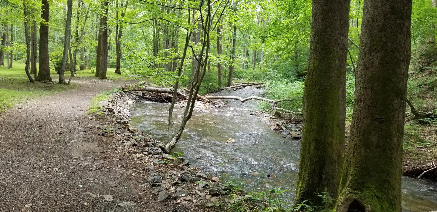 Rock Castle Creek View Close to Backcountry Campground