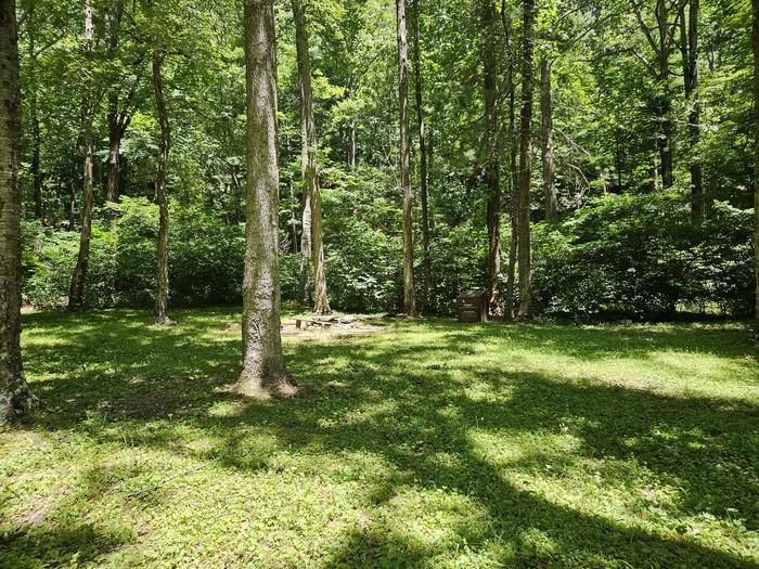 Rock Castle Gorge Backcountry Campground Area Shot