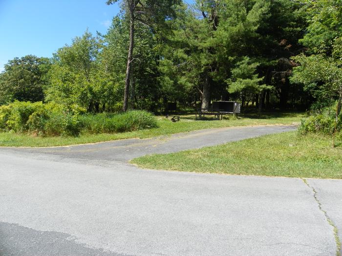 Site A58 has a large grass tent pad, picnic table, fire ring, and food storage box. The driveway is in full sun, and large trees shade the tent pad.