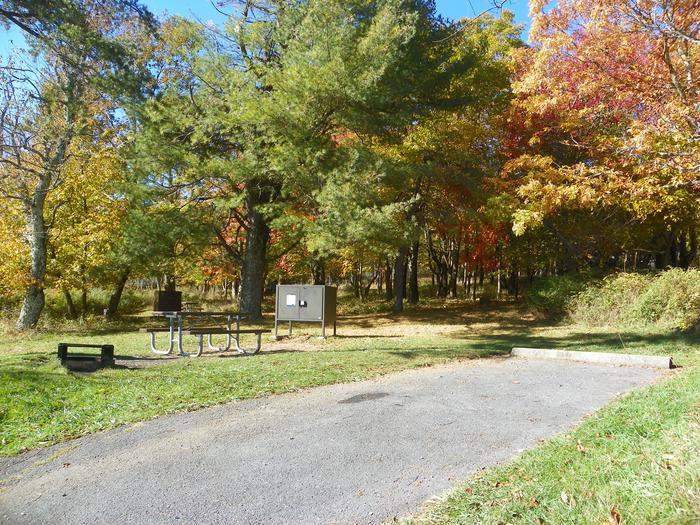 Site A58 has large tent pad, shaded by trees. The driveway slopes up to the back.