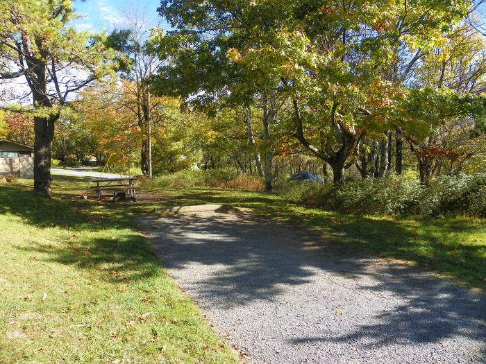 A60 has tent pad and picnic table directly behind the driveway. There is a restroom behind the campsite.  