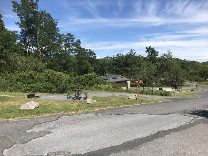 Site A62 has a picnic table and fire ring next to the driveway. The tent pad is an open grass lawn that receives full sun. 