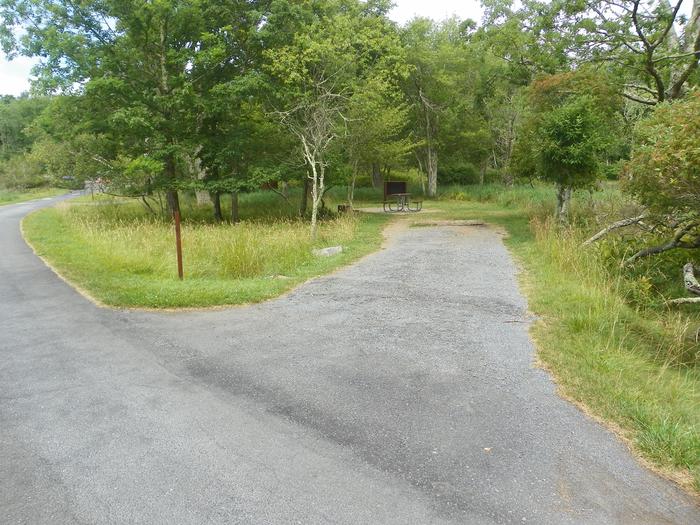 Site A65 has a level back-in driveway with picnic table, fire ring, food storage box, and grass tent pad in the back.