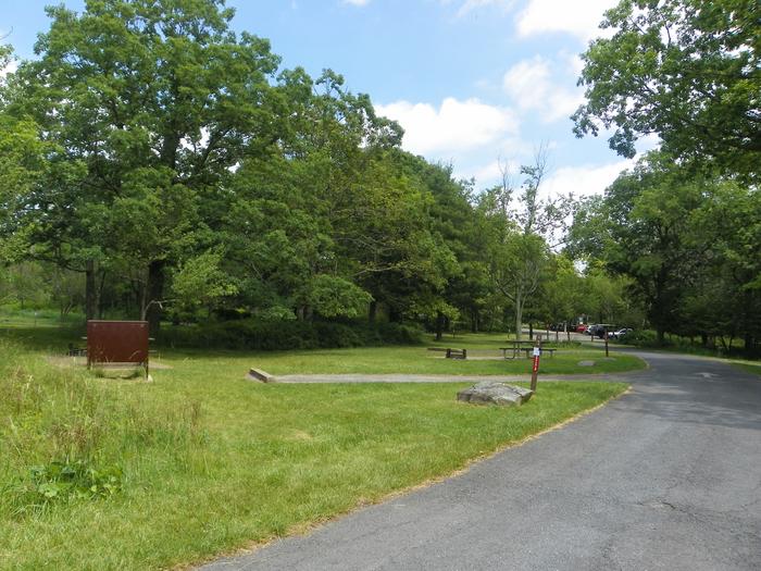 Site A66 has a short back-in driveway, food storage box, fire ring, and picnic table. There is a grass lawn for the tent pad.