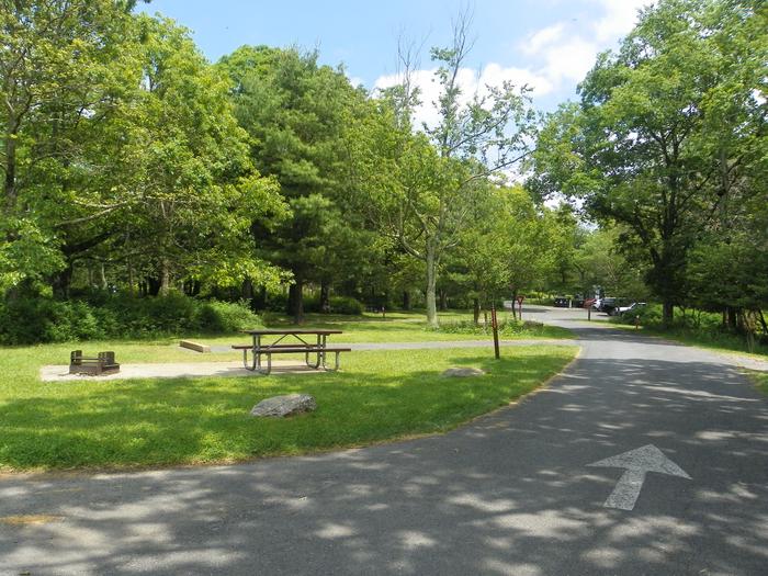 Site A68 has a back-in driveway. There is a picnic table and fire ring on a cement pad. There is an open grass lawn for the tent pad.