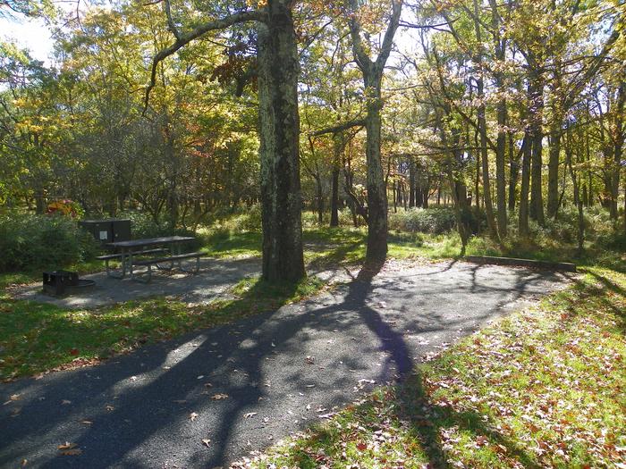 Site A69 driveway, tent pad, picnic table, fire pit, and food storage box are shaded by large trees.