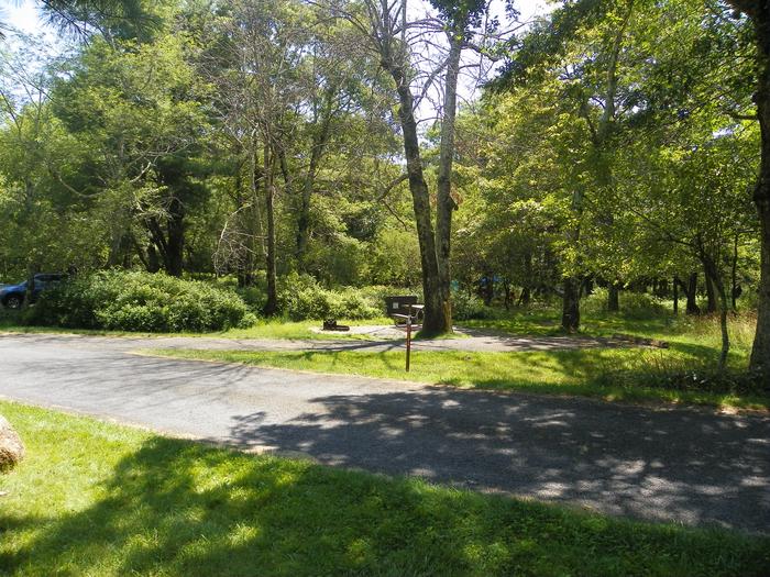 Campsite A69 with back-in driveway, tent pad, picnic table, fire pit, and food storage box.