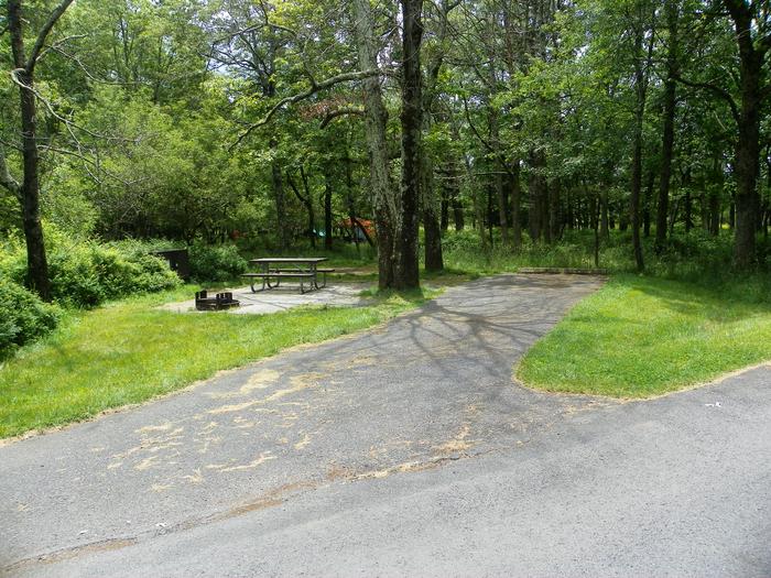 A69 back-in driveway with a large tree on the passenger side. Picnic table, fire ring, food storage box, and tent pad in the background.