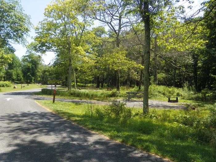 Site A71 has back-in driveway, picnic table, fire ring, and tent pad. 