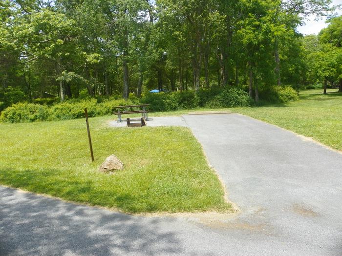 Campsite A75 back in driveway with open lawn for tent pad and trees in the background.