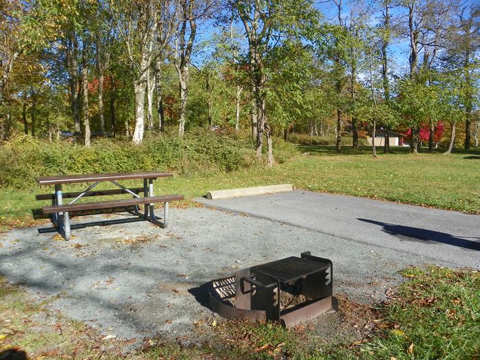 Site A75 fire ring and picnic table next to the driveway. There is an open lawn and a restroom across the road in the background.