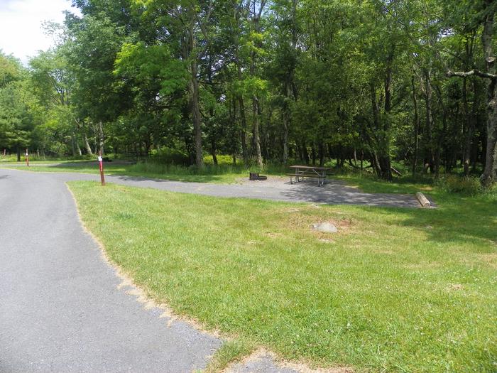 Campsite A78 has back-in driveway, picnic table, fire ring, and tent pad. 