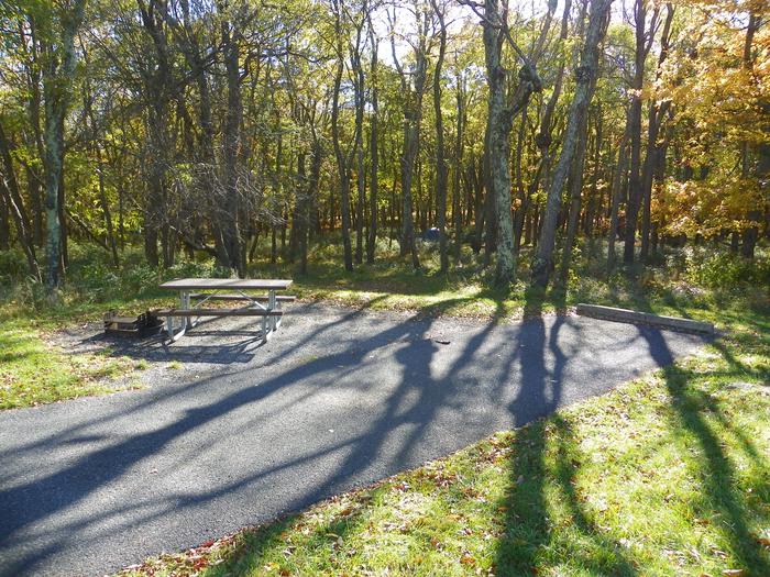 A78 has picnic table and fire ring next to the parking area. Trees surround the tent pad in the background.