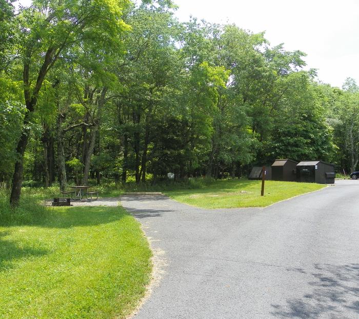 Site A78 with picnic table and fire ring next to the back in driveway. There are dumpsters and parking for tent sites in the background.