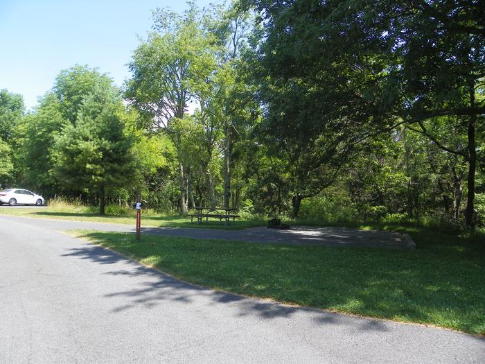 Campsite A79 has a driveway, tent pad, picnic table, and fire pit. Parking for tent sites in the background.