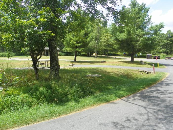 Site A80 has a driveway, tent pad, picnic table, and fire pit. 