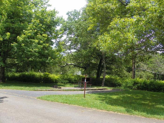 A81 has back-in driveway, picnic table, fire ring, and tent pad. 