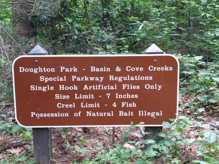 Special Parkway Fishing Regulations in Basin Cove 