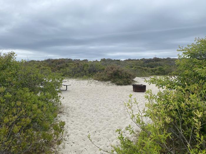 Oceanside site 99 in May.  View from a pathway leading to the campsite that has brush at the entrance as well.  Black metal fire ring is visible on the sand, but the wooden picnic table is slightly hidden to the left.Oceanside site 99 in May.