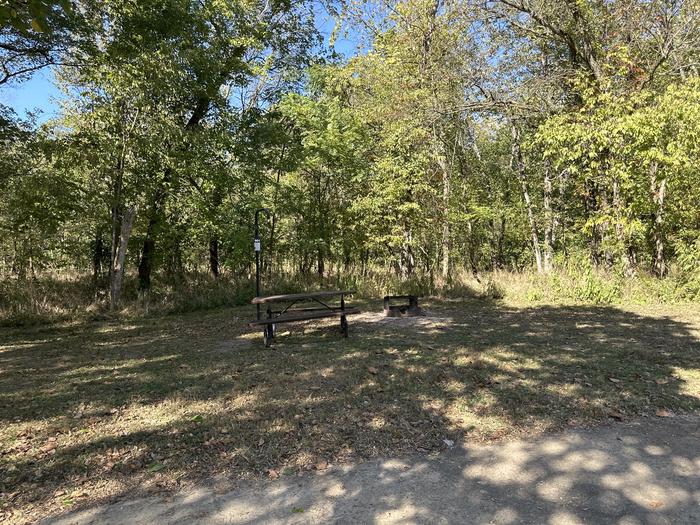 A photo of Site 901 of Loop Loop 900 at ALLEY SPRING with Picnic Table, Fire Pit, Shade, Lantern Pole