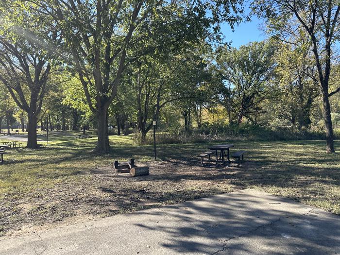 A photo of Site 116 of Loop Loop 100 at ALLEY SPRING with Picnic Table, Fire Pit, Shade, Lantern Pole