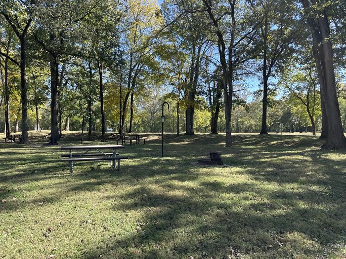 A photo of Site 719 of Loop Loop 700 at ALLEY SPRING with Picnic Table, Fire Pit, Lantern Pole