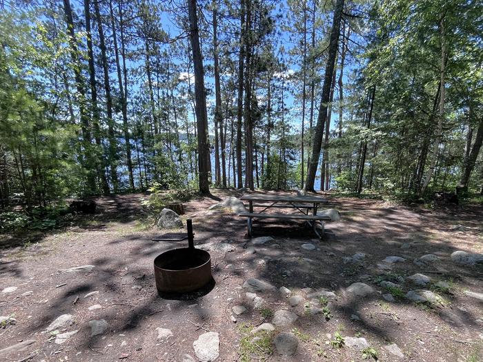 S11 - King Williams Narrows Campground (Site D), view looking out from campsite core of the fire ring and picnic table with water peeking through tall trees in the backgroundS11 - King Williams Narrows Campground (Site D)