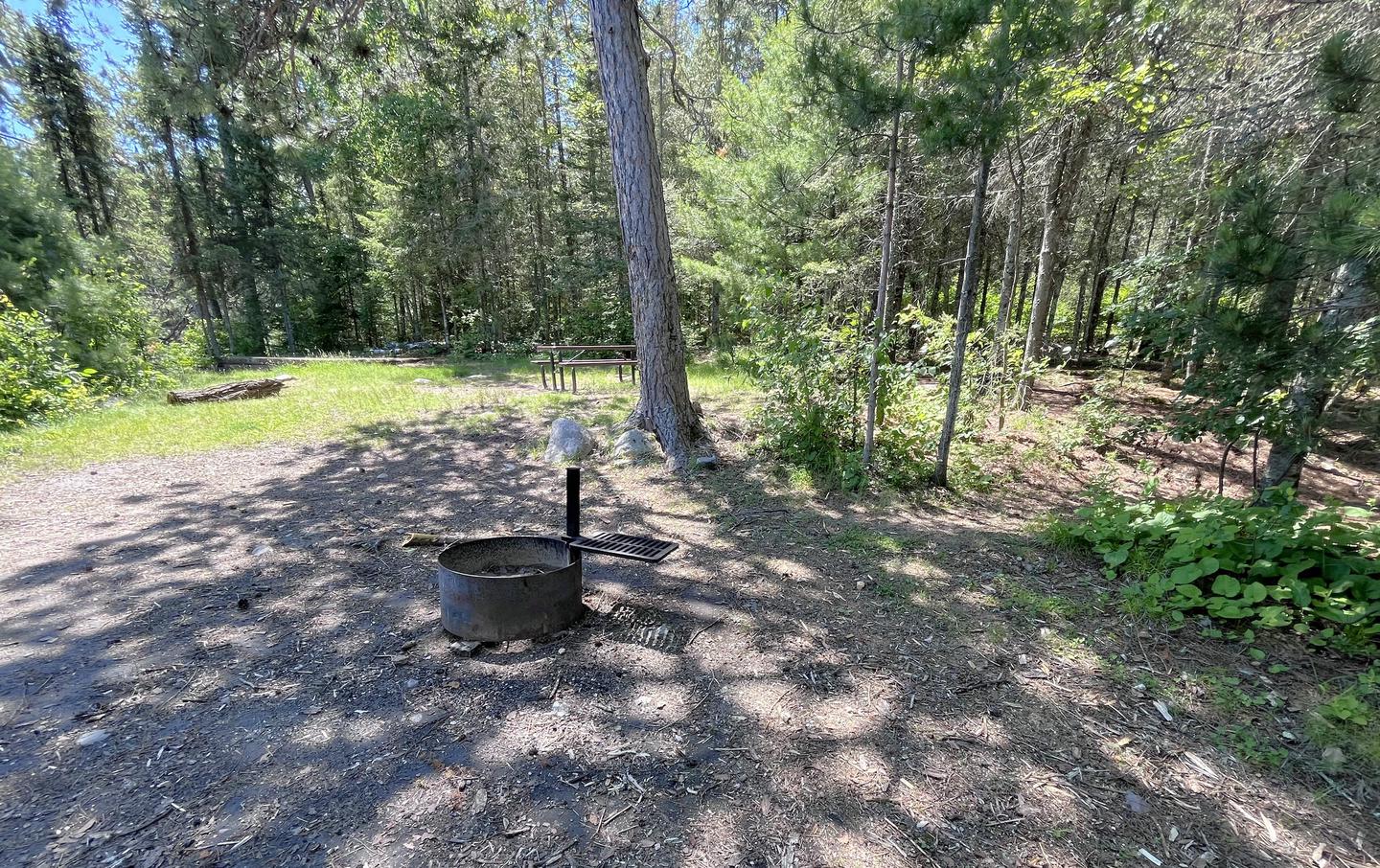 S23 - Grassy Bay South, view of campsite core of the fire ring, picnic table and a tent pad in the background with tall trees surrounding the areaView into campsite core