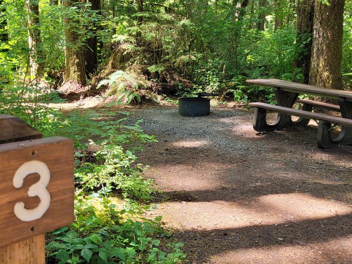 View into the campsite from the perspective of the site marker (#3). The view is of a picnic table on the right, a fire ring with cooking grate at center, and trees and shrubs surrounding a dirt and gravel ground.Site #3 looking in from the site entrance. 