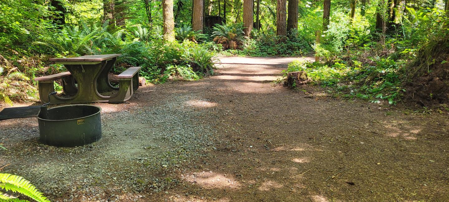 View of site #3 from the far end, looking towards the site marker. To the left is the fire ring with cooking grate with the picnic table behind. The ground is gravel and dirt and the site is surrounded by trees and shrubs.Site #3 looking out towards the entrance. 