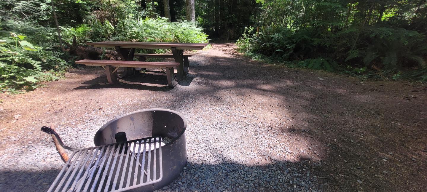 Site #2 looking towards the entrance from the back of the site. A firepit with cooking grate is in the foreground with a picnic table behind and to the left of it. To the right of the table, the path leads out of the site. The center of the photos is dappled sunlight and the scene is surrounded by green trees and shrubs. Site #2 looking out towards the entrance. 