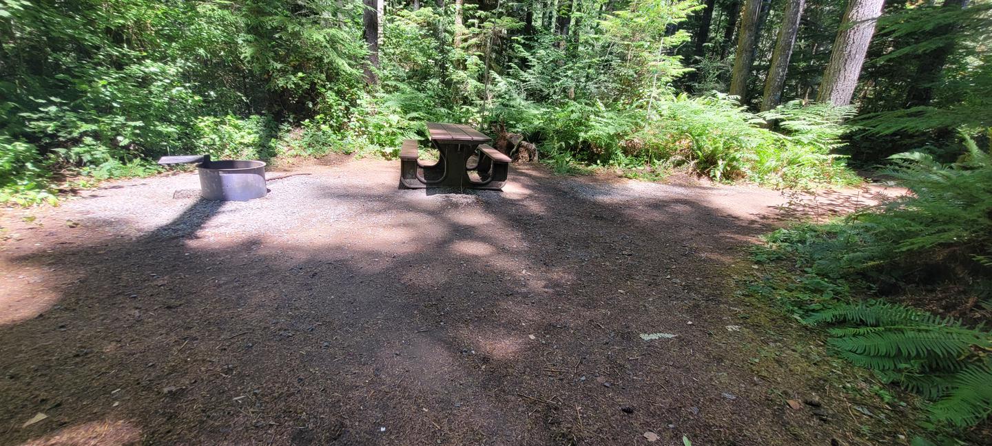Site #2 interior. There is a firepit to the left and a picnic table to the right towards the back of the photo, with partially shaded gravel and dirt ground in the foreground. The scene is surrounded by green trees and shrubs. Site #2 interior.