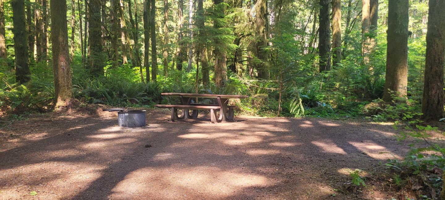 Site #5 with a firepit and a picnic table at the center of the photo. There is a dirt ground with shadows of trees crossing it vertically. The site is surrounded by green trees and shrubs. Site #5 interior. 