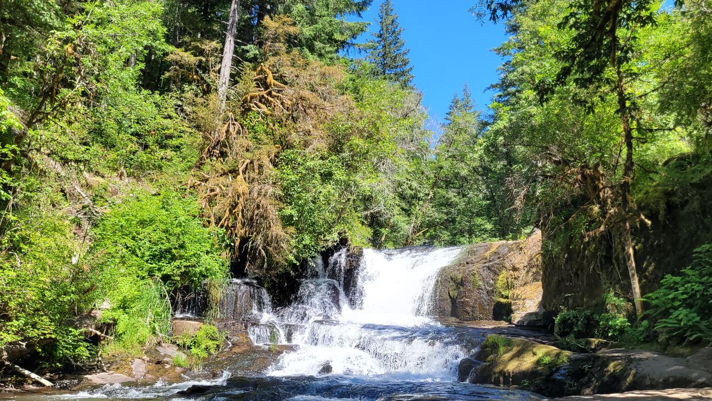 View of Alsea Falls looking head on. The falls are central with water running over rocks of varying sizes. The scene is surrounded by green trees and shrubs and a bright blue sky. 