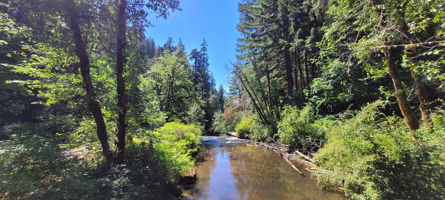 View of Alsea Falls from the bridge in the day use site. The river is central in the photo with calm water, reflecting the blue sky. The scene is surrounded by green trees and shrubs. 