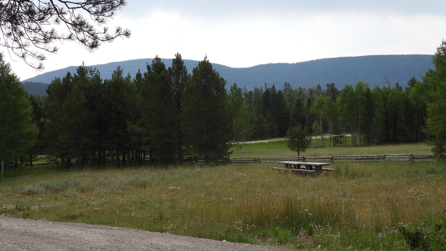 Red Springs Campground - Meadow