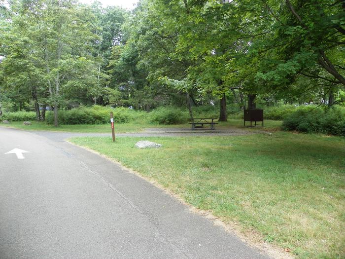 Campsite A82 with back in driveway, tent pad, picnic table, fire pit, and food storage box.