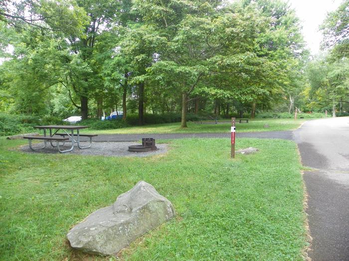 Site A83 has a picnic table and fire ring next to the driveway. There is a small grass tent pad.