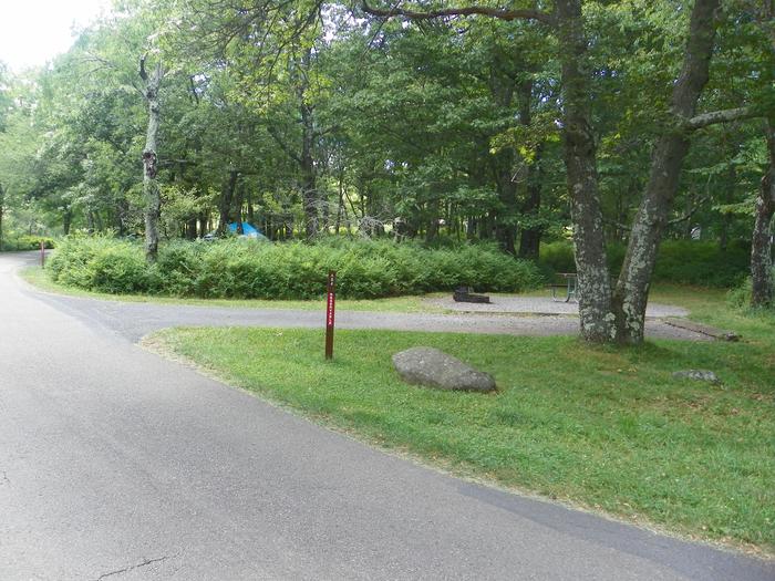 Site A84 has level back in driveway, fire pit, picnic table, and grass tent pad. 