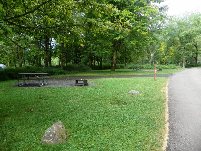 Campsite A85 has level back in driveway, fire pit, picnic table, and grass tent pad. 