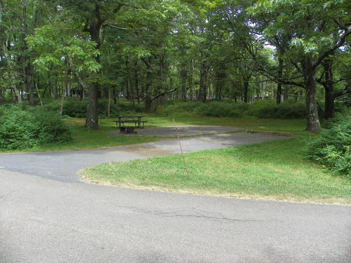 Campsite A86 has level back in driveway, fire pit, picnic table, and grass tent pad, shaded under large trees.