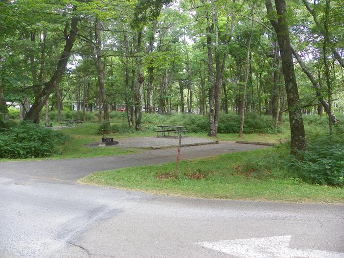 Campsite A88 has level back in driveway, fire pit, picnic table, and grass tent pad. 